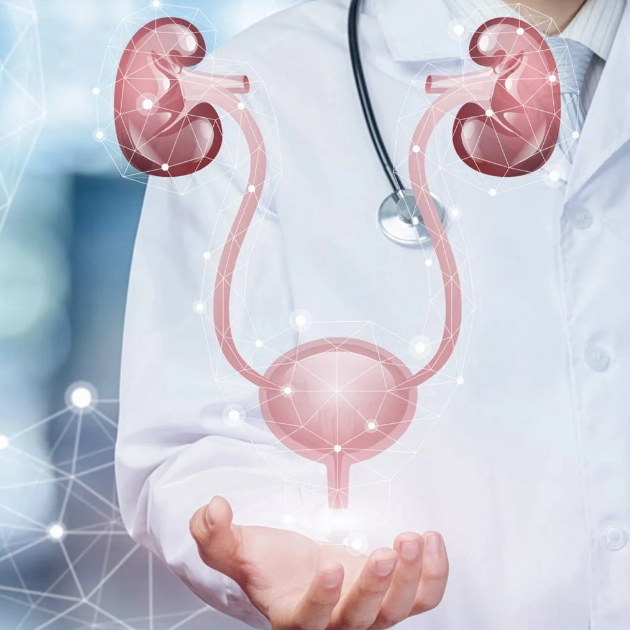 Urologiýa